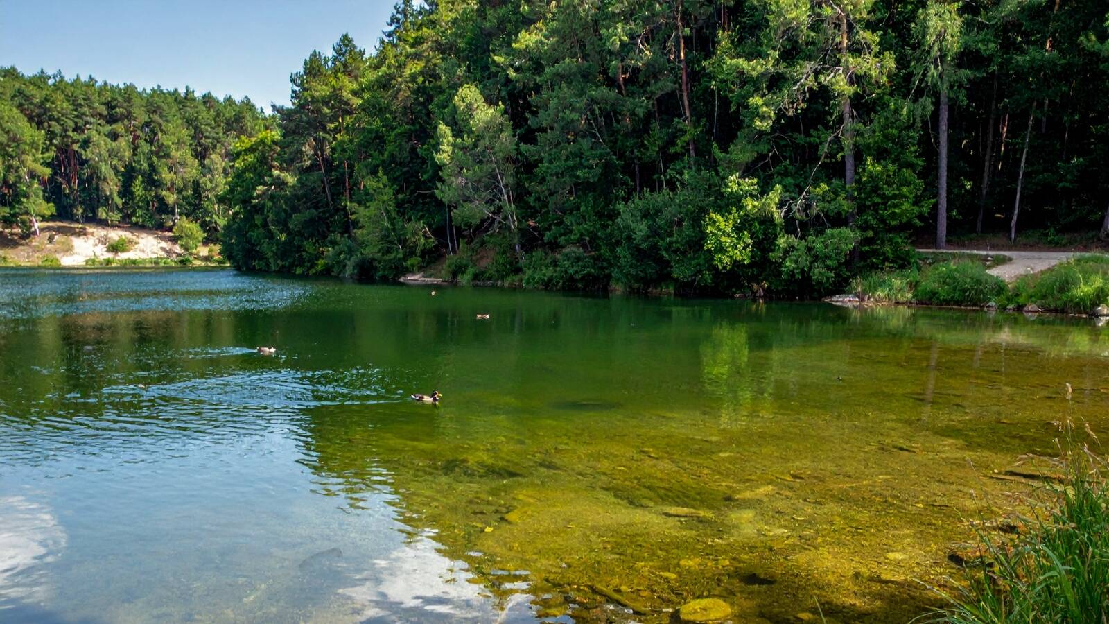 camping-montagne-noire-lac-des-montagnès-ia-poi-th